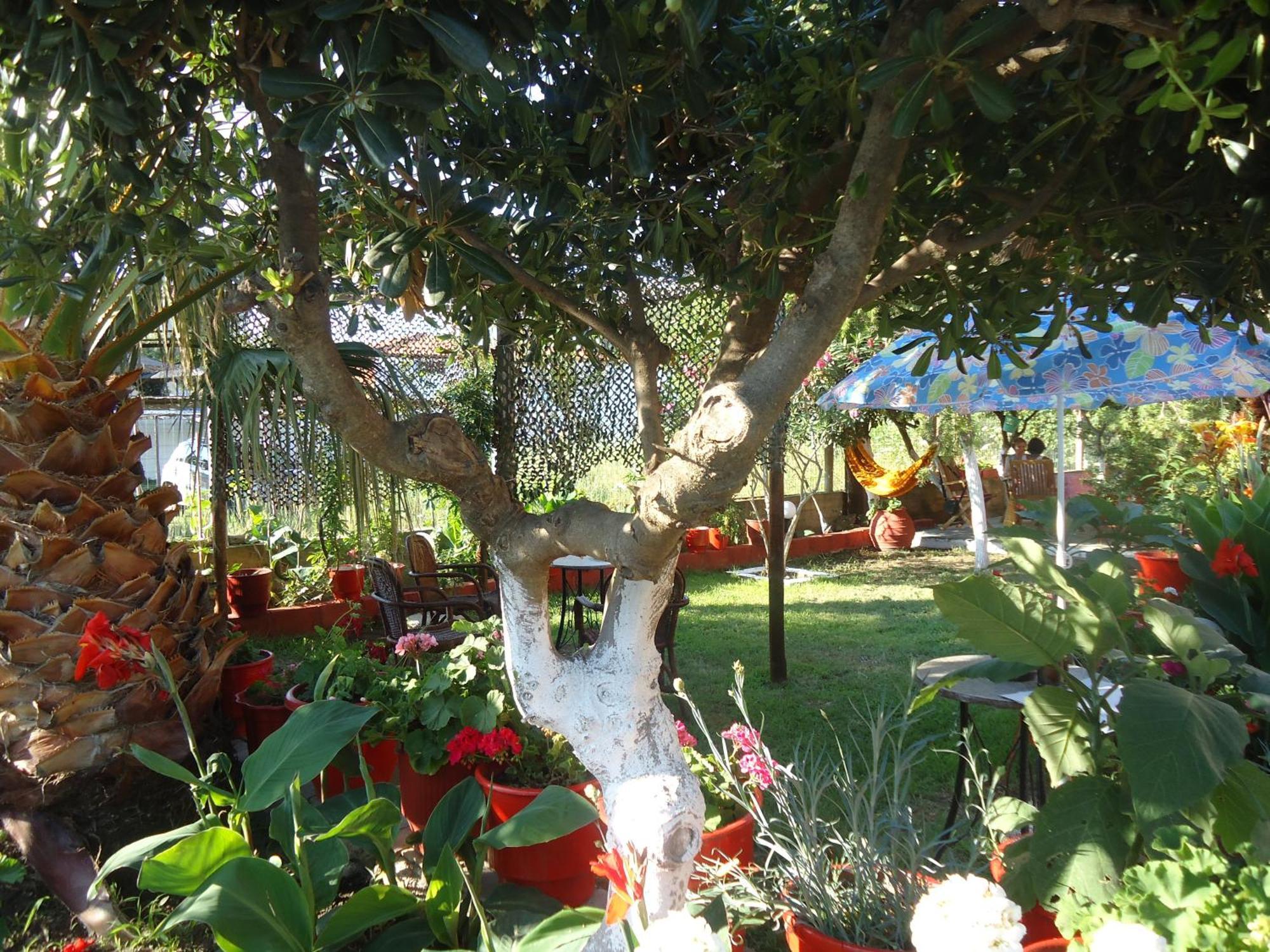 House Souzanna Apartment Toroni Exterior foto